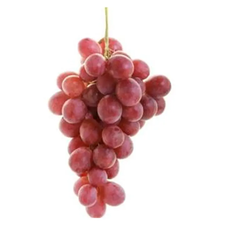 Viinamari Red Globe I klass