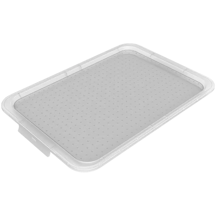 Rotho kansi laatikkoon Albris 45 l