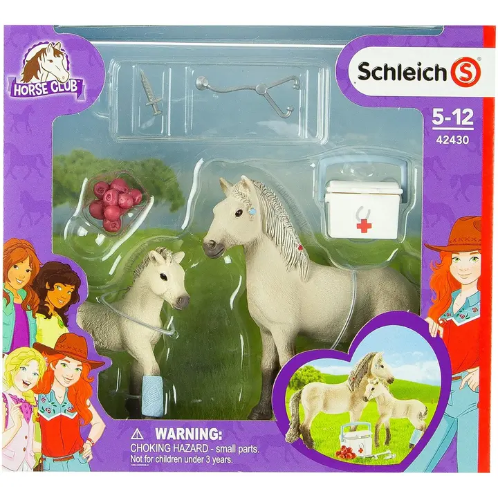 Islandi hobune, varss, esmaabikomplekt