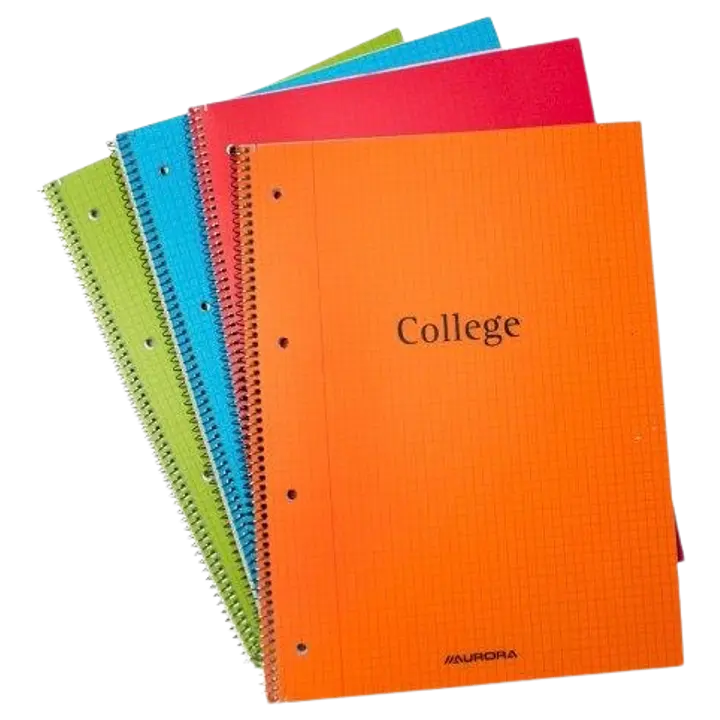 Buro-class spiraalplokk a4 80l ruut