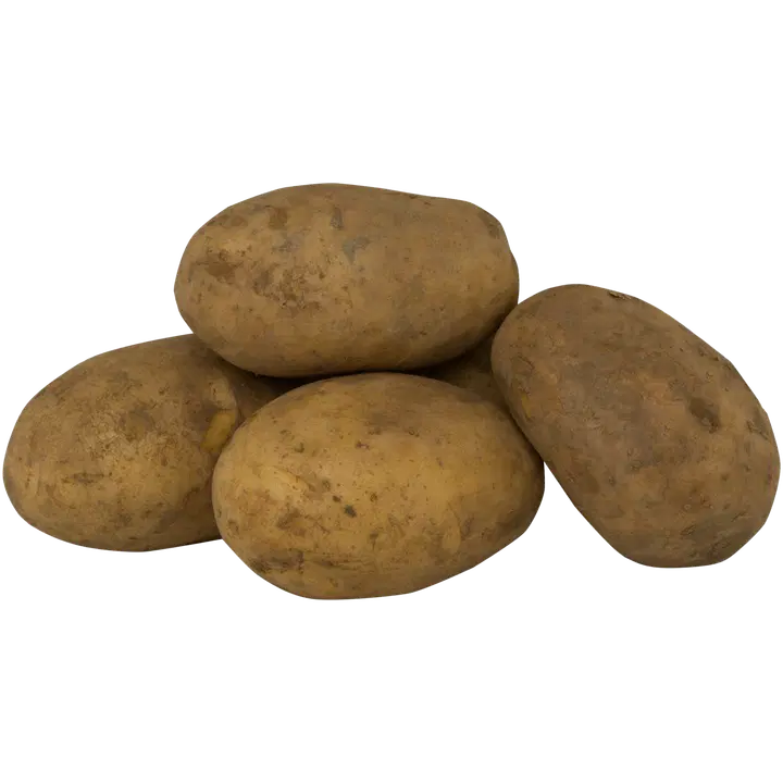 Ritala Hannu peruna multa