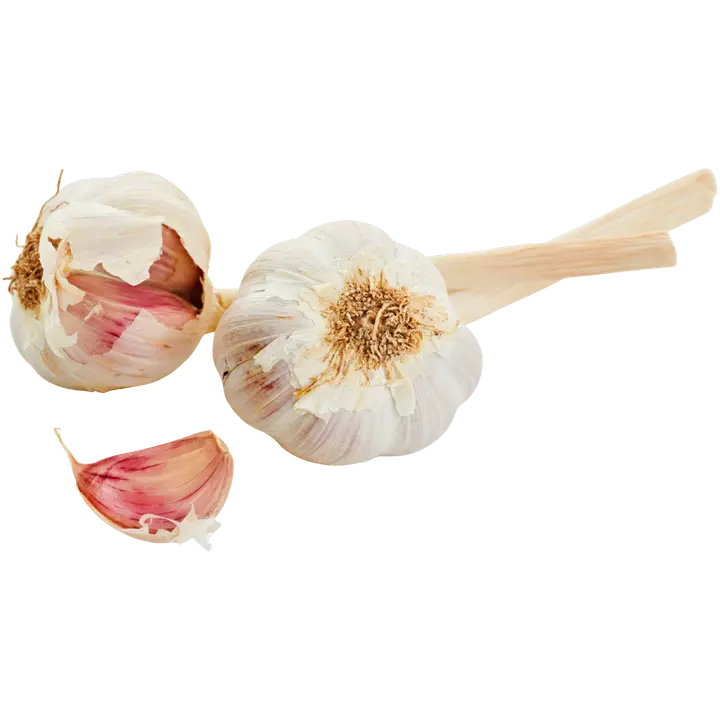 Valkosipuli