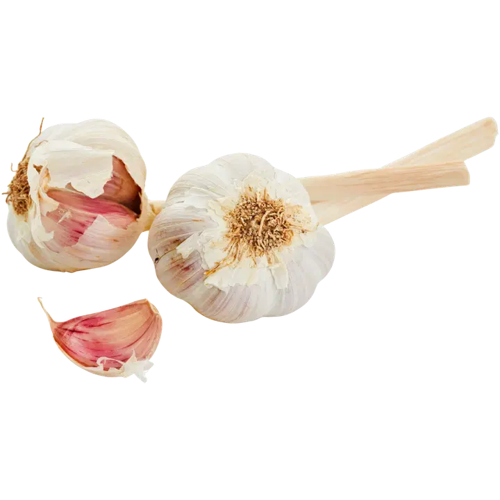 Valkosipuli