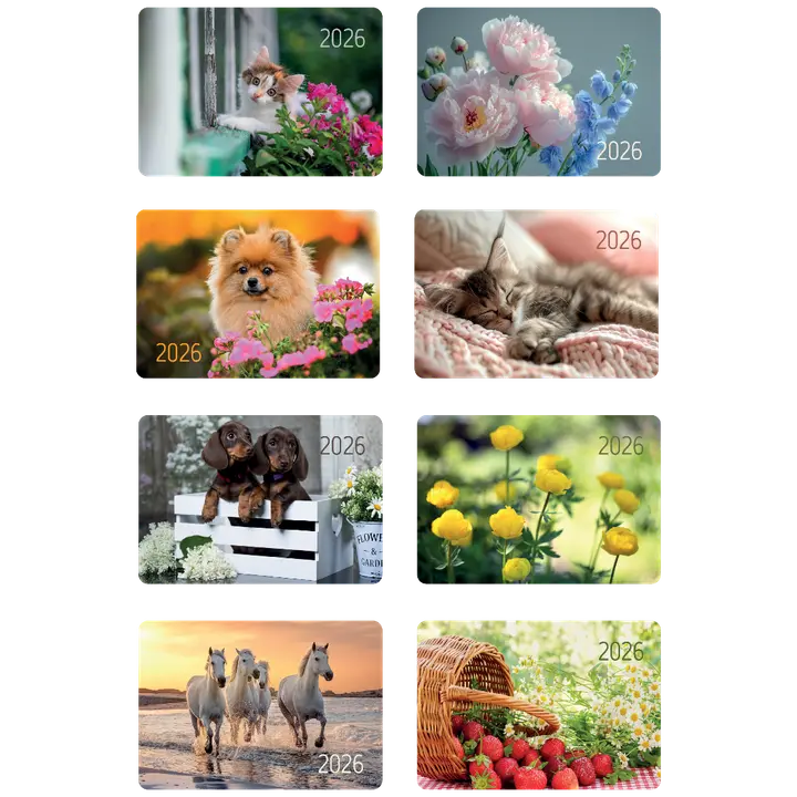 Taskukalender 65x95mm