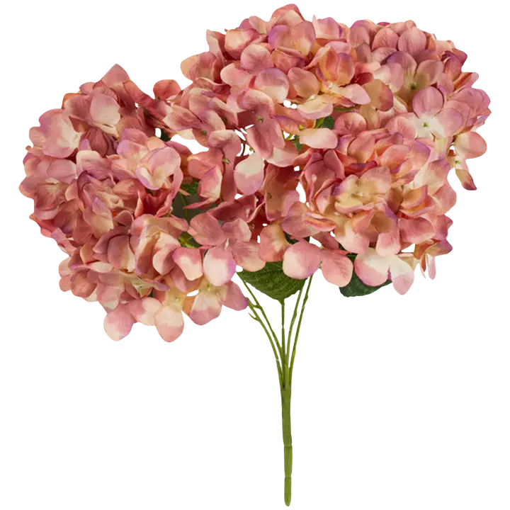 Hortensia oks vanaroosa 48 cm