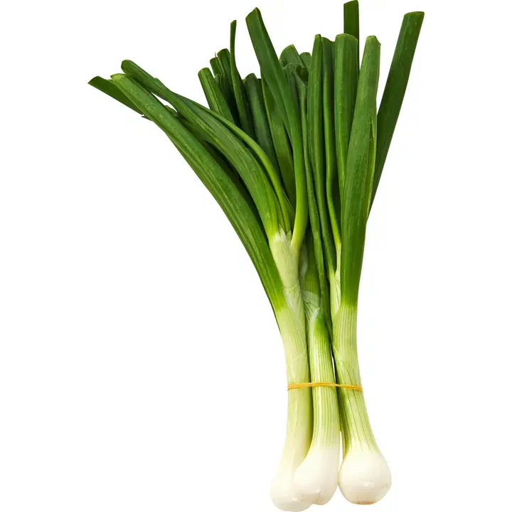 Sipulinippu