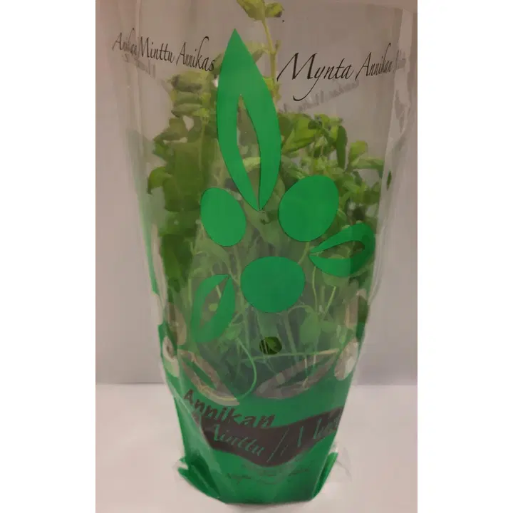 Annikan Minttu ruukku