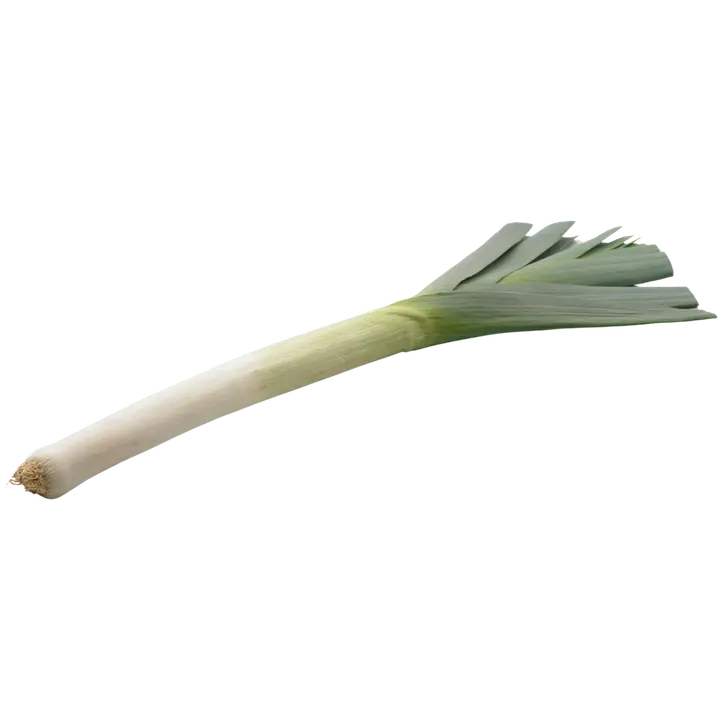 Purjo luomu