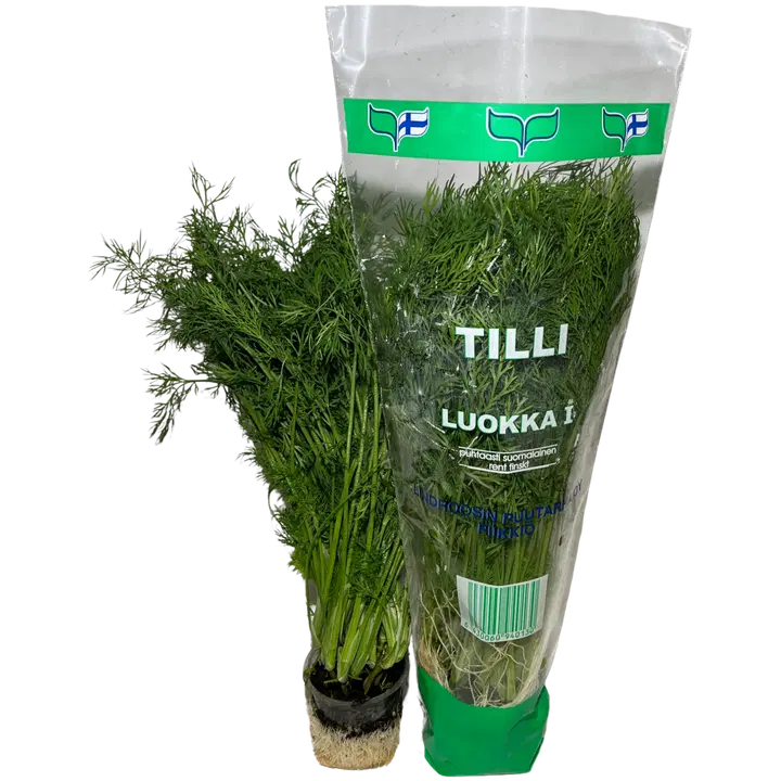 TILLIRUUKKU