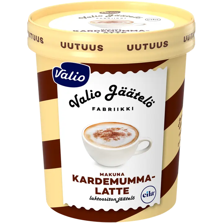Valio jäätelö 480 ml kardemumma-latte laktoositon