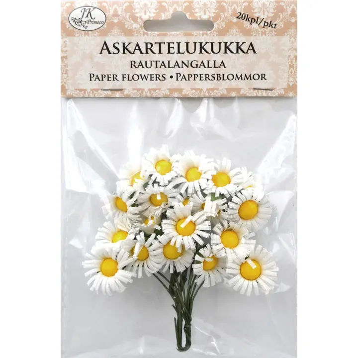 J.K. Primeco askartelukukka päivänkakkara 20kpl/pkt