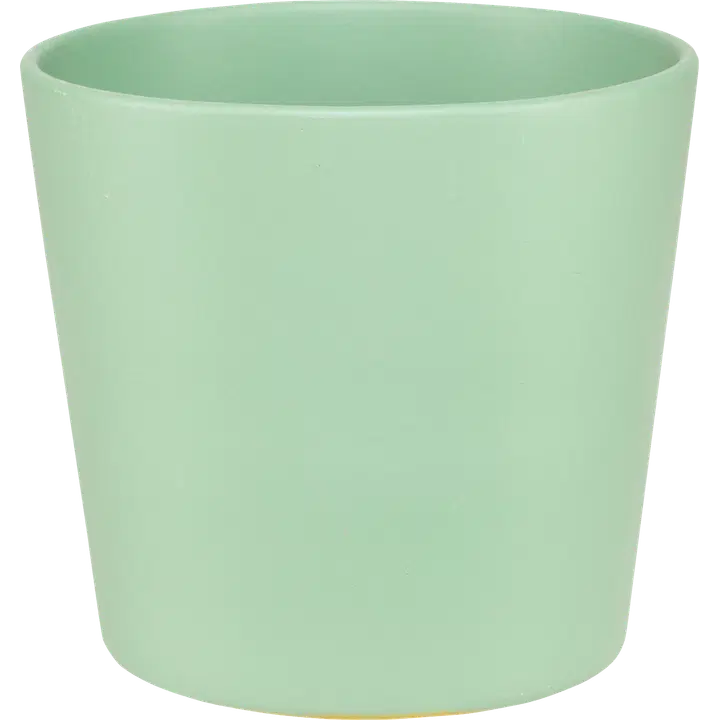 House suojaruukku Anita 11 x 12 cm