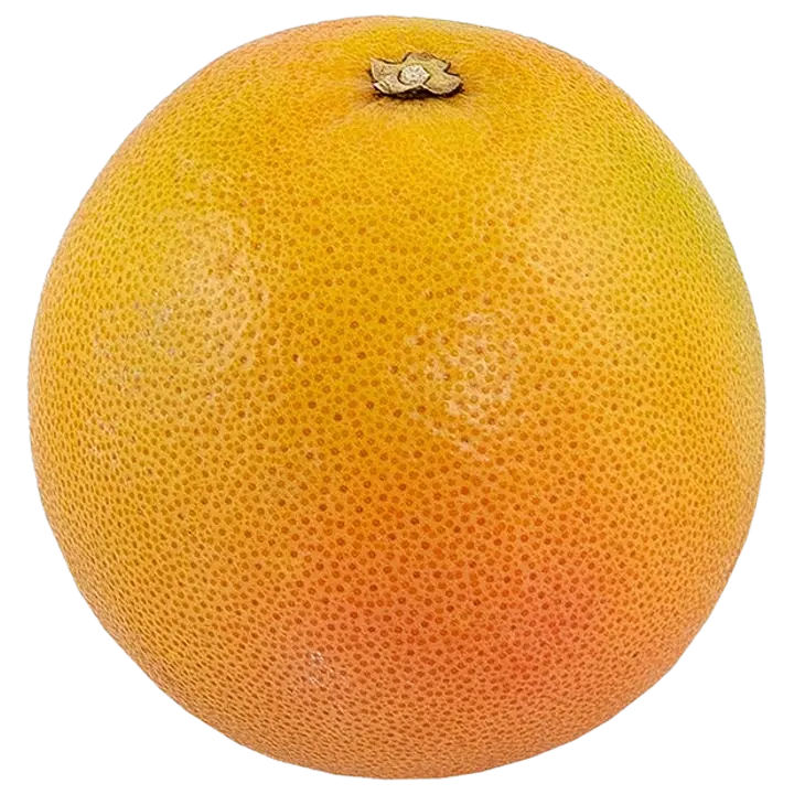 Punane greip Star Ruby