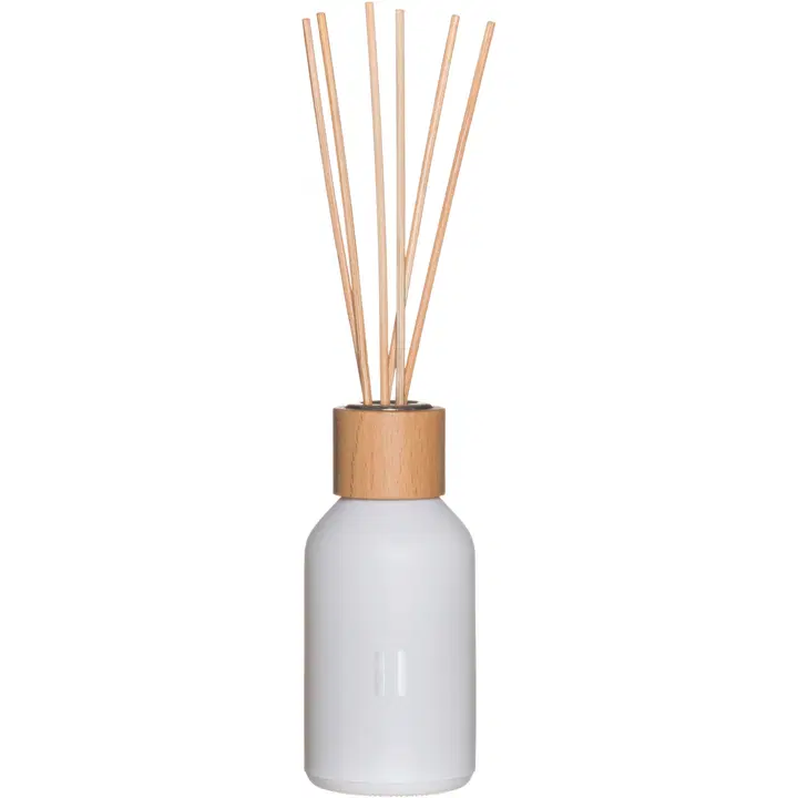 Rento Huonetuoksu Koivu 100 ml