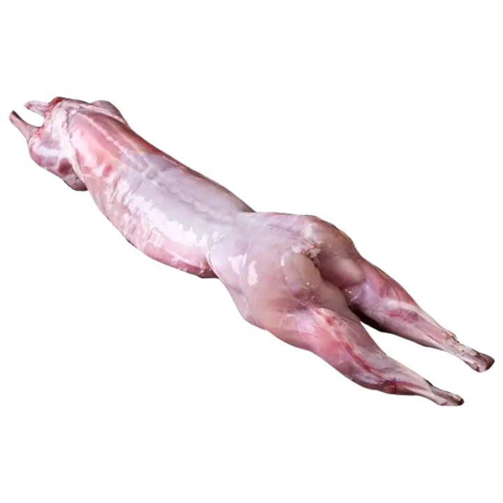 Sans Marque Külmutatud Terve Küülik Peata kg