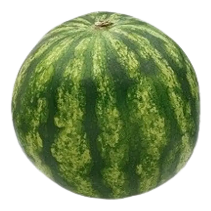 Arbuus oranži viljalihaga