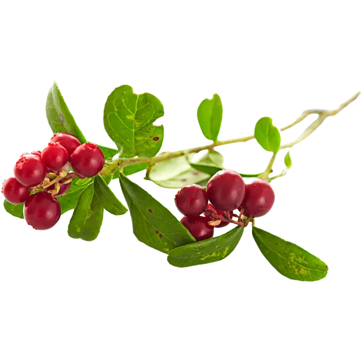 Puolukka Suomi 250g