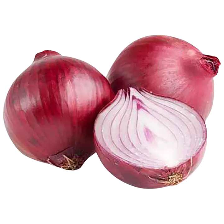Mugulsibul punane