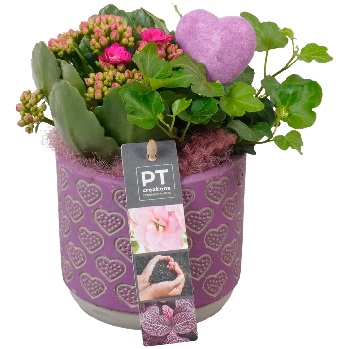 Väike emadepäeva kompositsioon