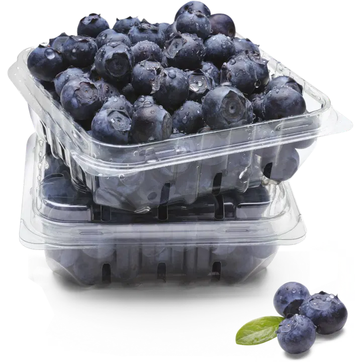 Pensasmustikka luomu 300g