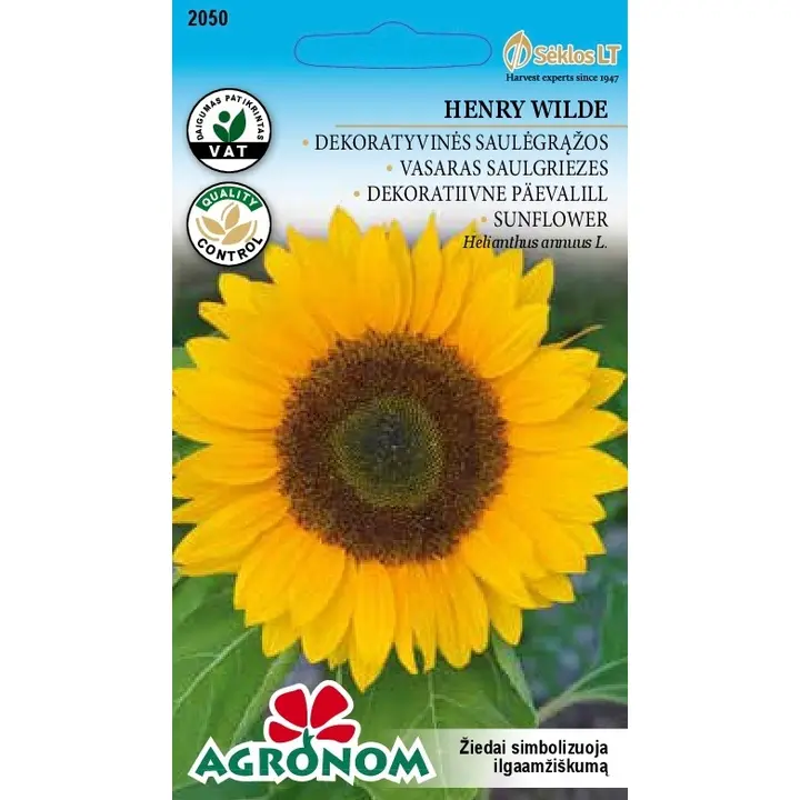 Harilik päevalill henry wilde - helianthus annuus l.