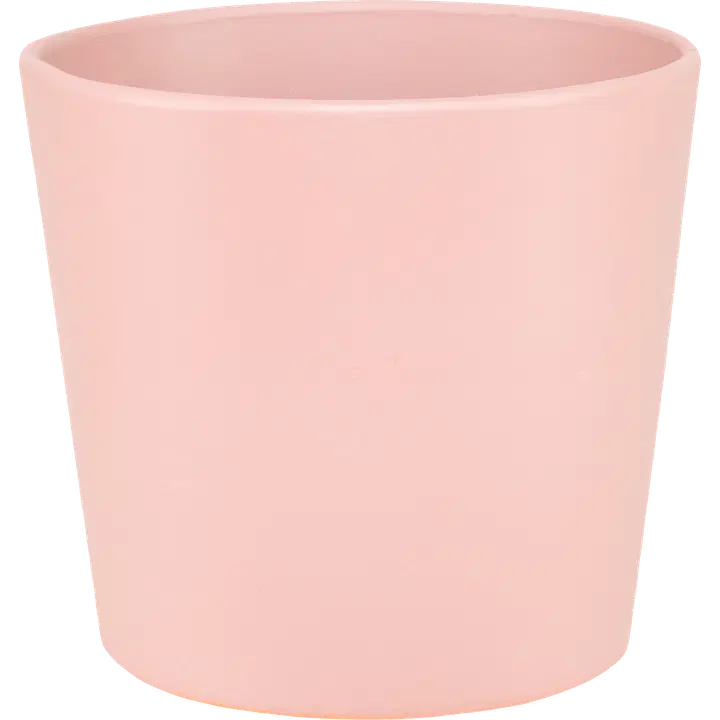 House suojaruukku Anita 11 x 12 cm