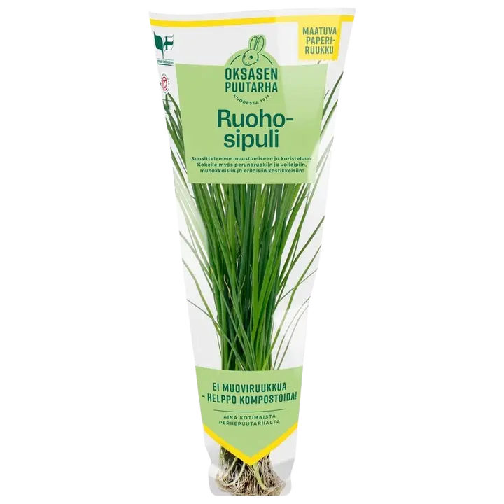 Ruohosipuliruukku Oksanen