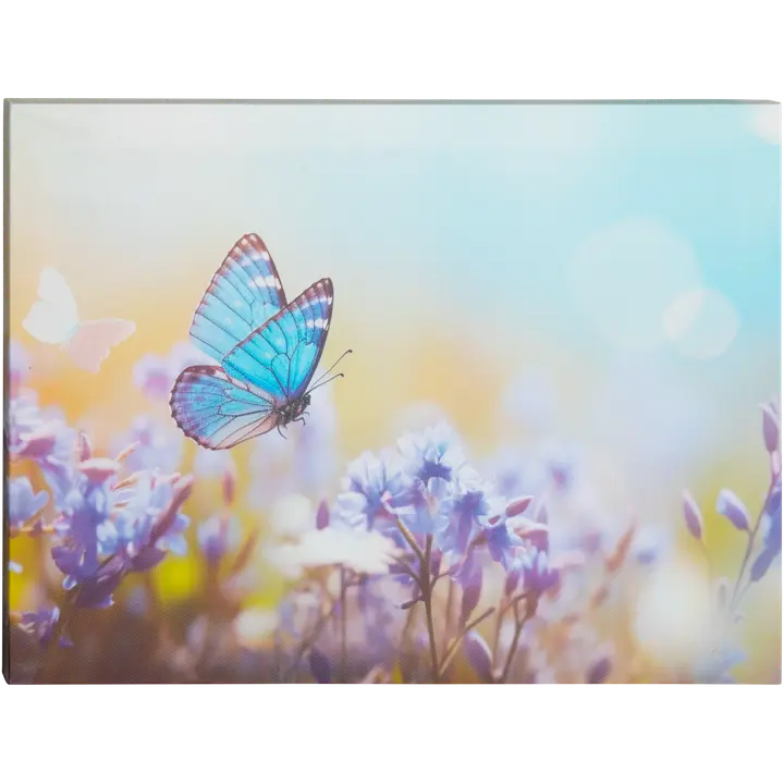 Lõuendtahvel 30X40 liblikas