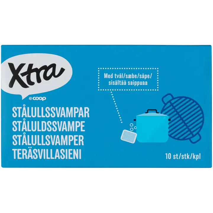 Xtra teräsvillasieni 10 kpl
