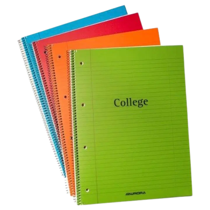 College plokk a4 plastkaanega4 auku 80 lehte jooneline