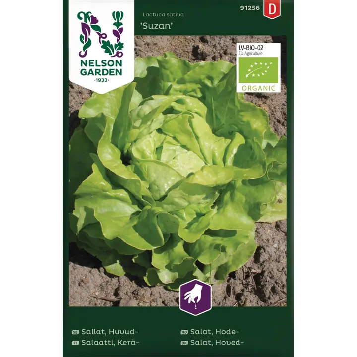 91256 salat suzan, mahe