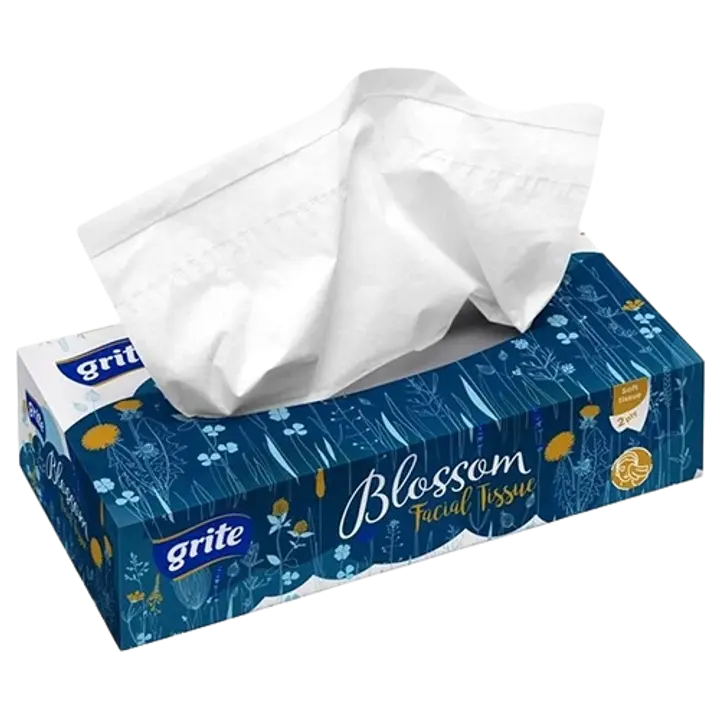 Grite kosmeetiline salvrätt blossom 2-kihil 80tk