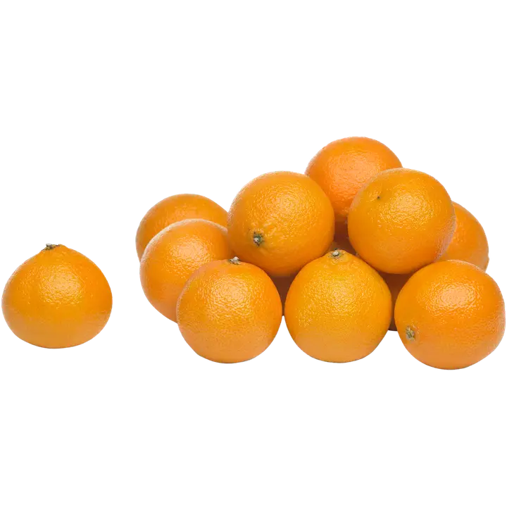Coop klementiini