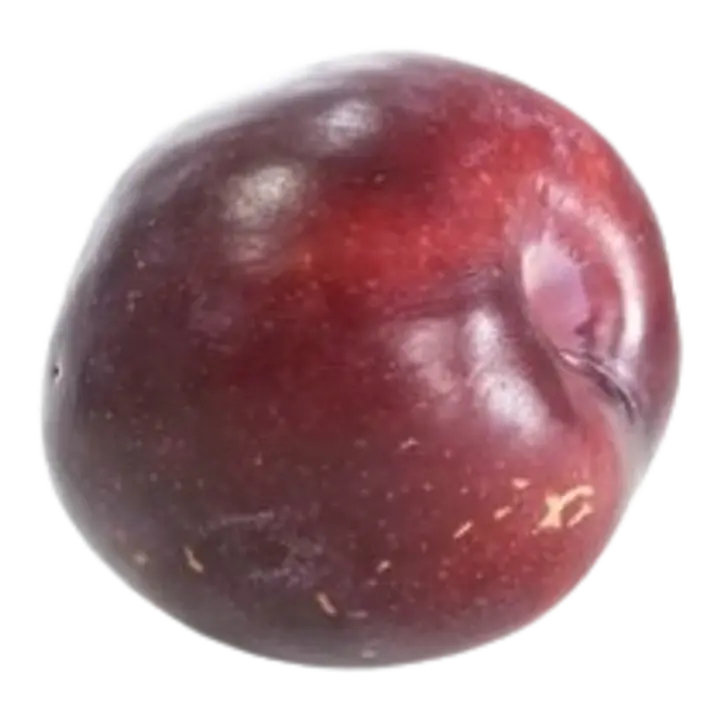 Ploom tume suur I klass