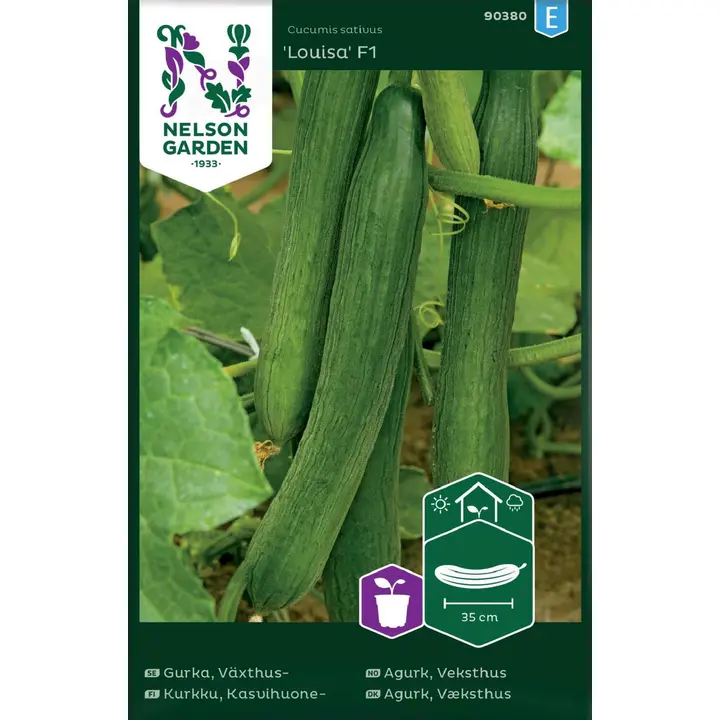 90380 kurk, kasvohoone louisa f1