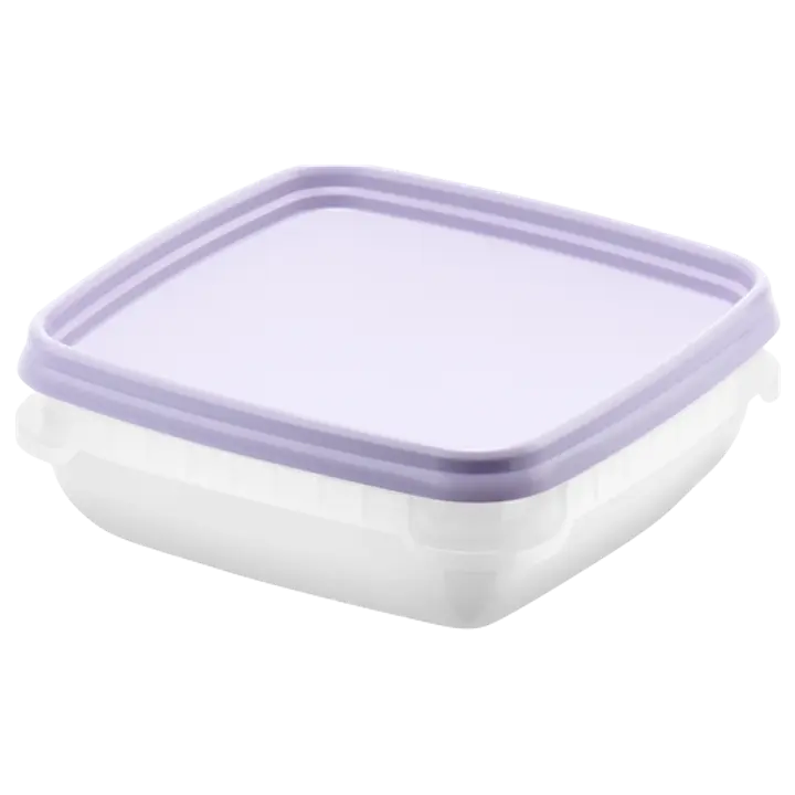 SmartStore pakastusrasia Frost 6x0,3 L laventeli