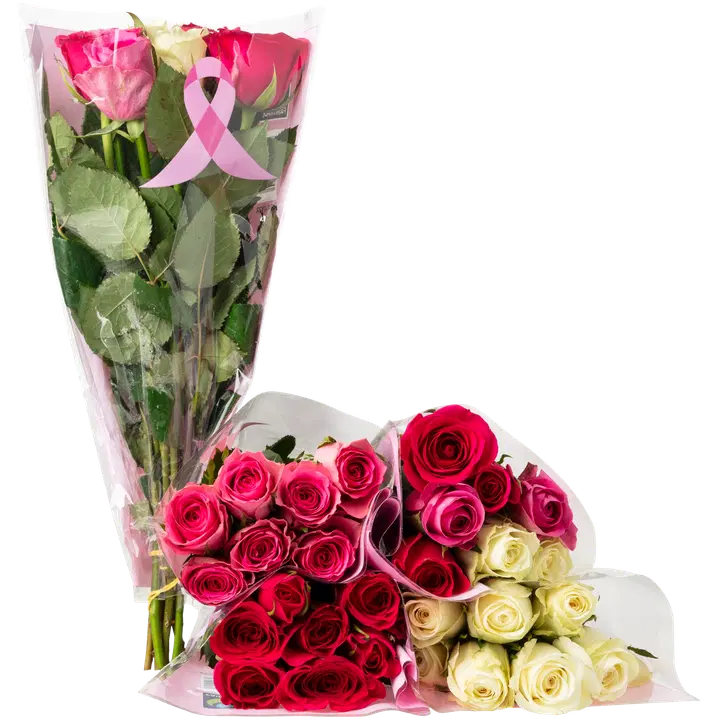 Reilu kauppa Roosa nauha ruusu, lajitelma, 7 oksaa, 40cm