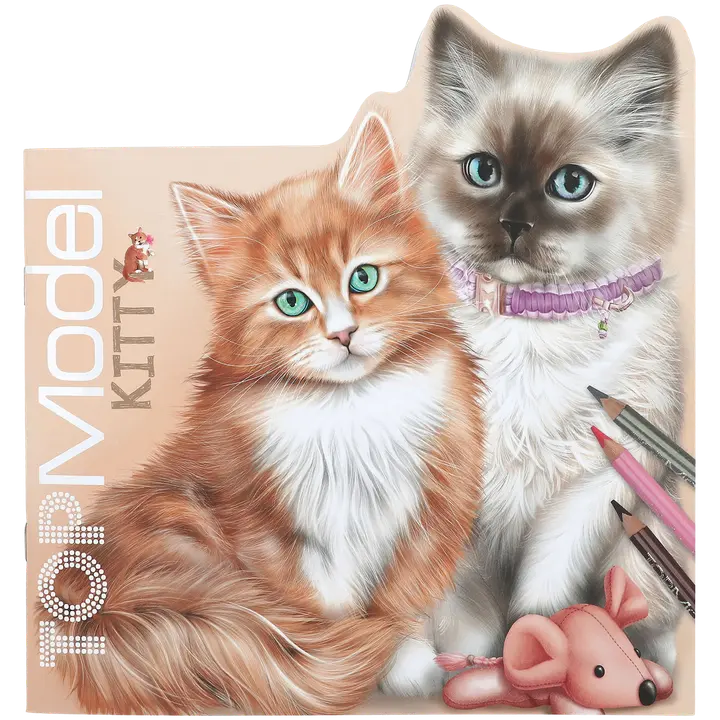 TOPModel Värvi-ja kleebiseraamat Kitty