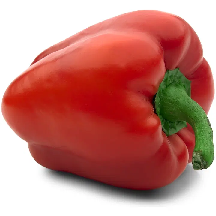 PAPRIKA