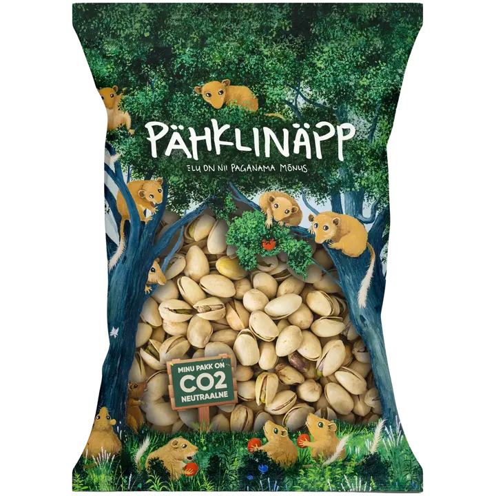 Pähklinäpp pistaatsiapähkel meresoolaga 500g