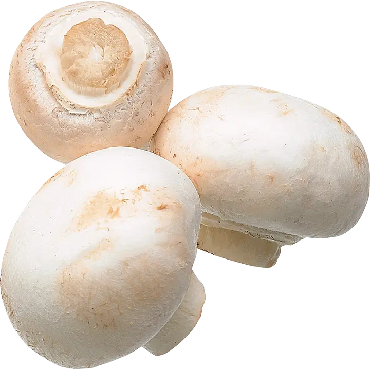 Herkkusieni jumbo