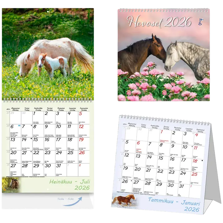 Aikataos seinäkalenteri Hevoset 2026