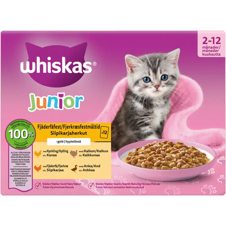 Whiskas Junior 12x85g Siipikarjaa Hyytelössä