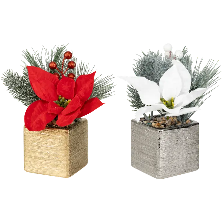 Tekokasvi Jouluasetelma ruukussa, erilaisia