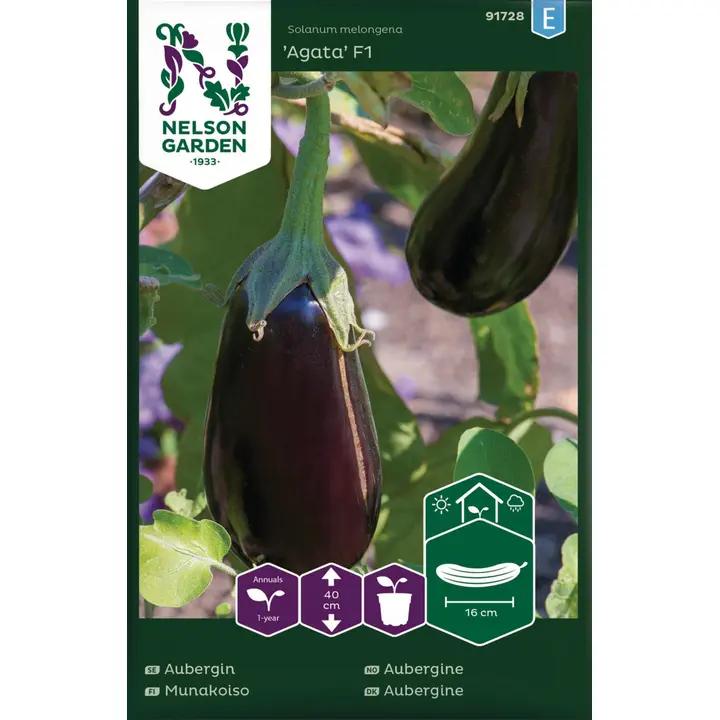 91728 baklažaan agata f1