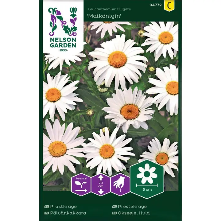 94772 karikakar maikönigin