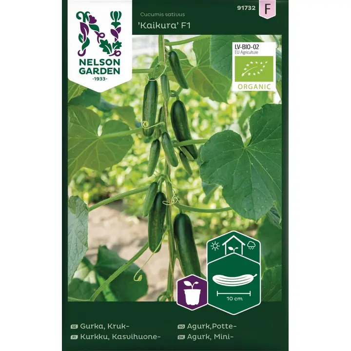 91732 kurk kaikura f1