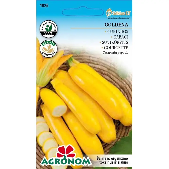 Suvikõrvits goldena - cucurbita pepo l.