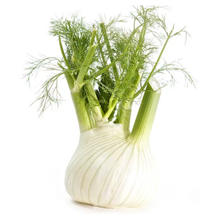 Fresh fenkoli