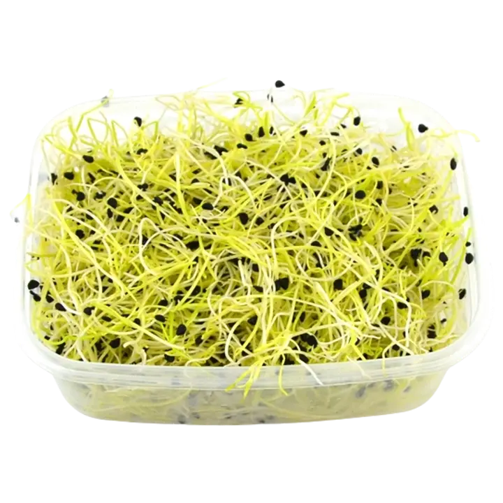 Küüslaugu idud 50g